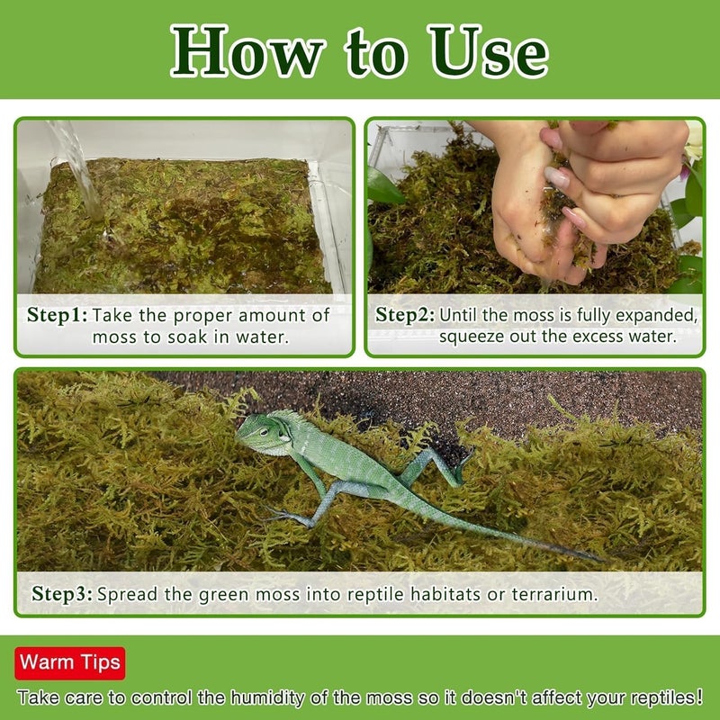 Halatool 9OZ Natural Sphagnum Moss for Reptiles- 14QT Green Moss for Terrarium Plants Long Fiber Reptile Moss for Leopard Gecko Snake Hamsters Tortoises Frogs Lizards Salamanders - Image 4